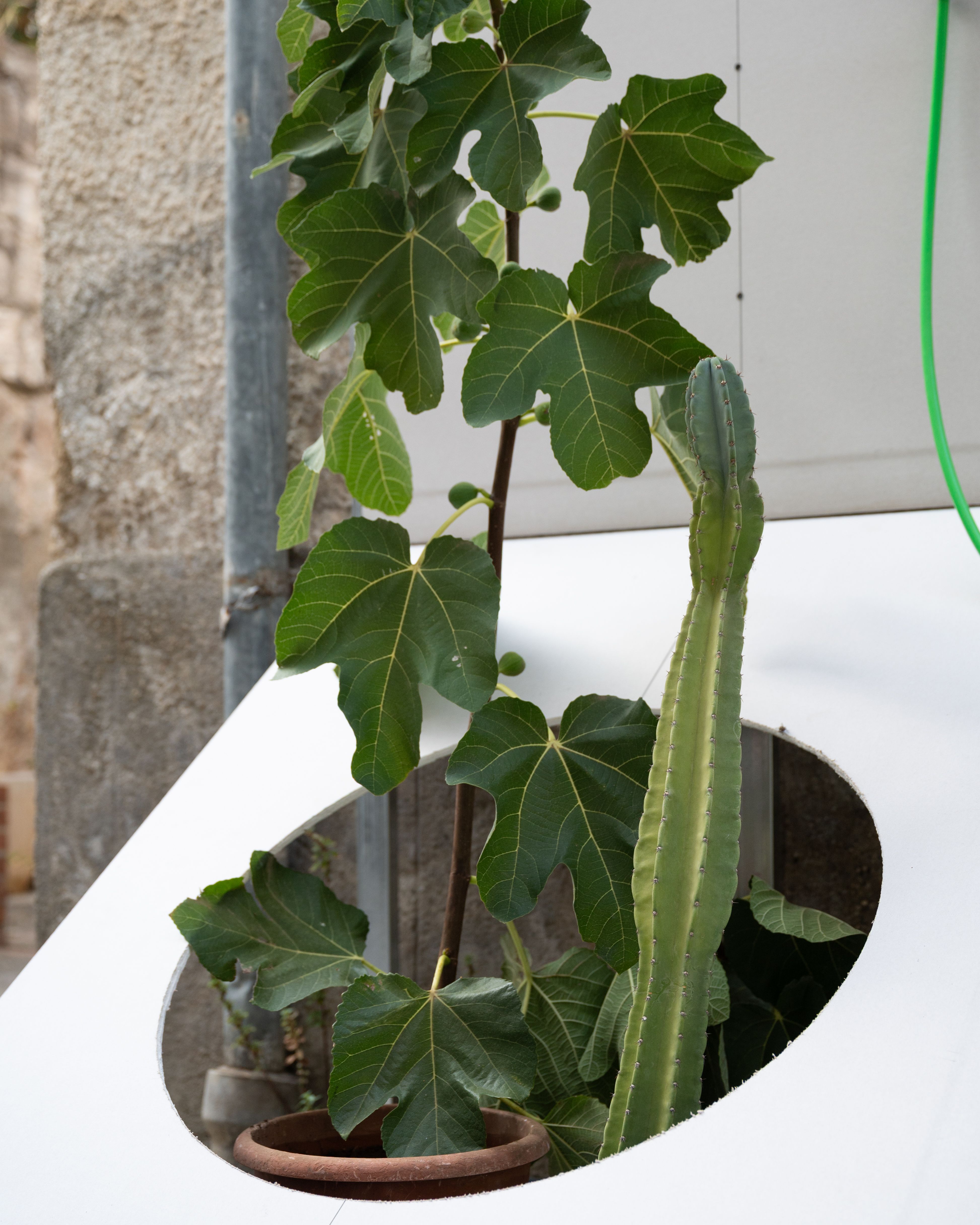 Image 8 of OOO - OUT OF OFFICE