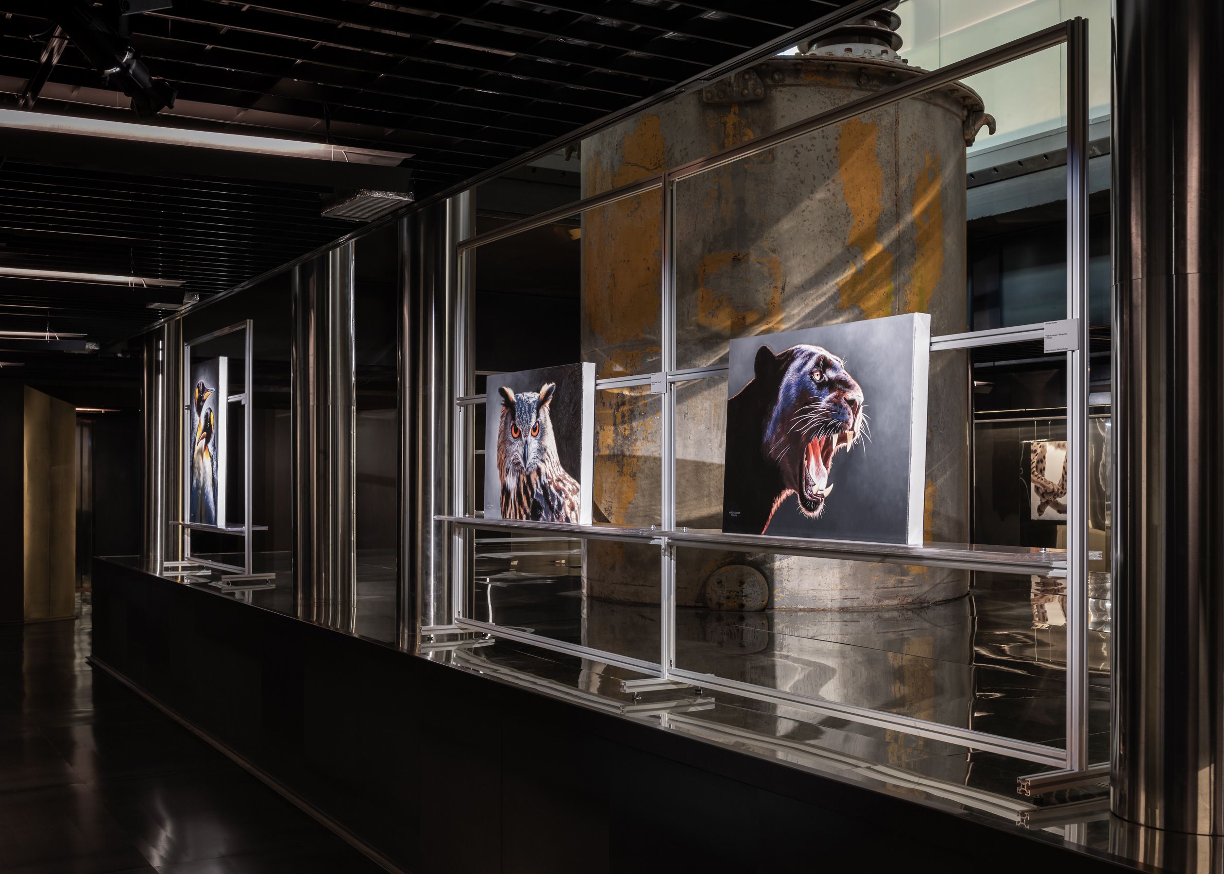 Image 7 of WILD BY DESIGN @ ADI DESIGN MUSEUM