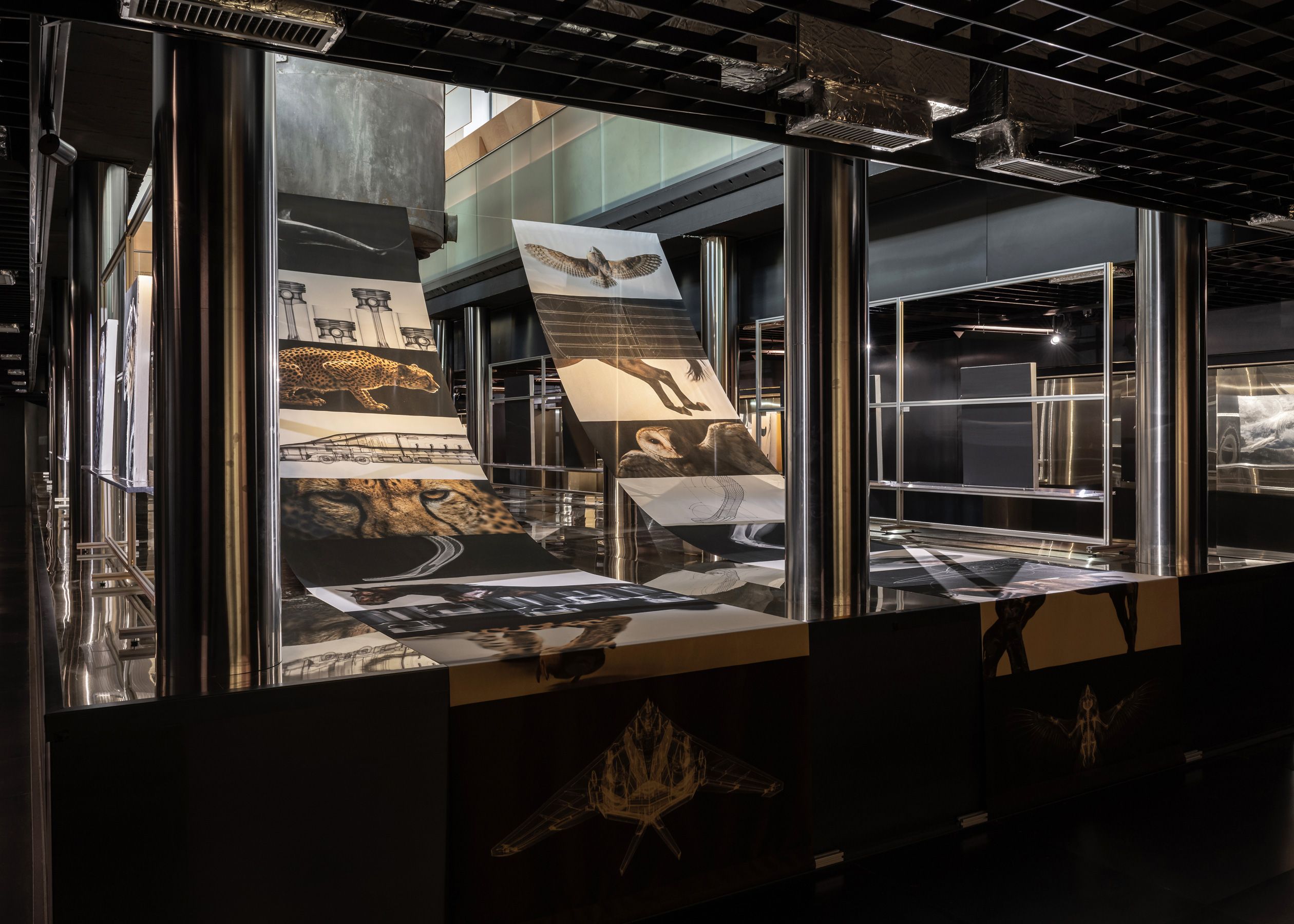 Image 5 of WILD BY DESIGN @ ADI DESIGN MUSEUM