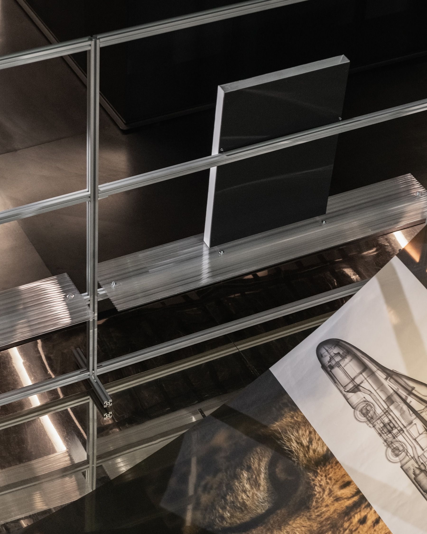 Image 9 of WILD BY DESIGN @ ADI DESIGN MUSEUM